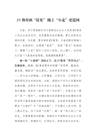 主题教育洒“晨光” 陇上“小麦”更连冈