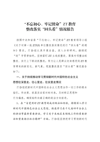 主题教育整改落实回头看情况报告