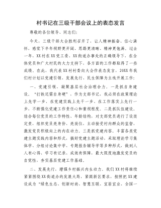 村书记在三级干部会议上的表态发言