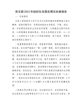 党支部2023年组织生活落实情况自查报告