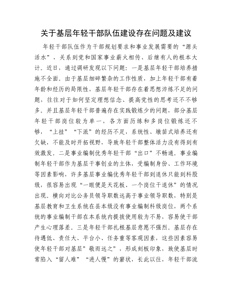关于基层年轻干部队伍建设存在问题及建议_第1页