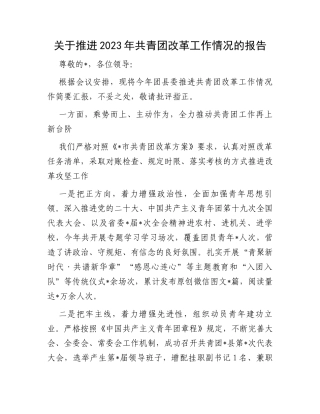 关于推进2023年共青团改革工作情况的报告