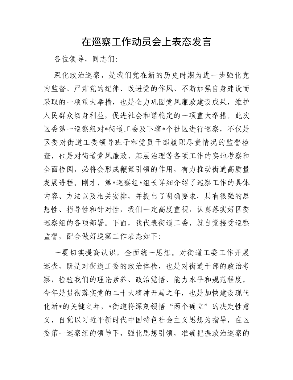 在巡察工作动员会上表态发言_第1页