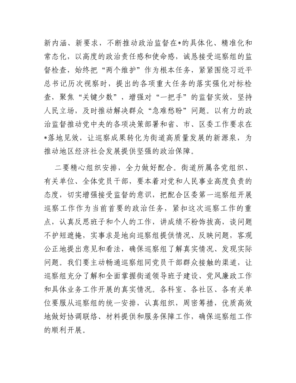 在巡察工作动员会上表态发言_第2页