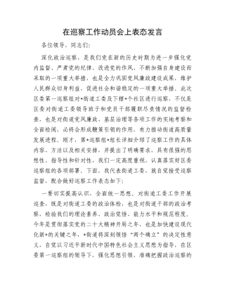 在巡察工作动员会上表态发言