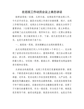 在巡视工作动员会议上表态讲话