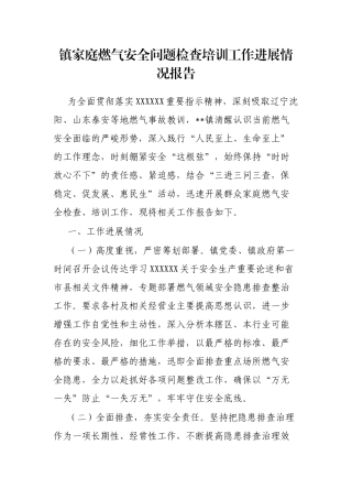 镇家庭燃气安全问题检查培训工作进展情况报告
