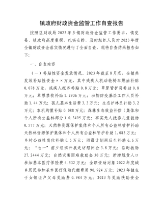 镇政府财政资金监管工作自查报告