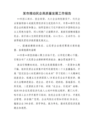 某市推动民企高质量发展工作报告