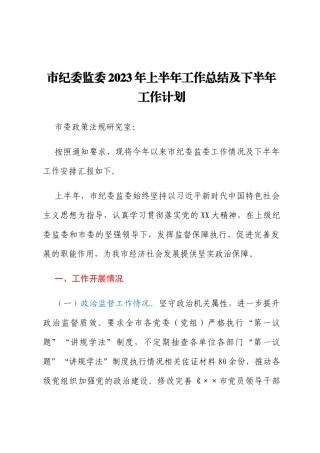 市纪委监委2023年上半年工作总结及下半年工作计划