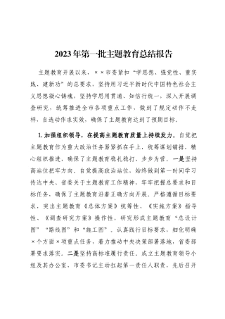 2023年第一批主题教育总结报告 