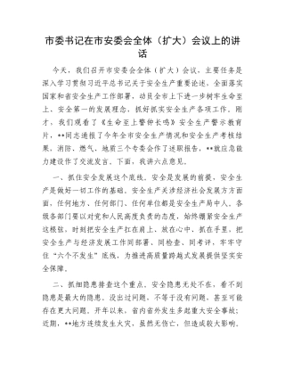 市委书记在市安委会全体（扩大）会议上的讲话