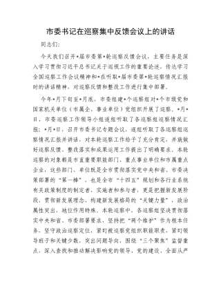 市委书记在巡察集中反馈会议上的讲话