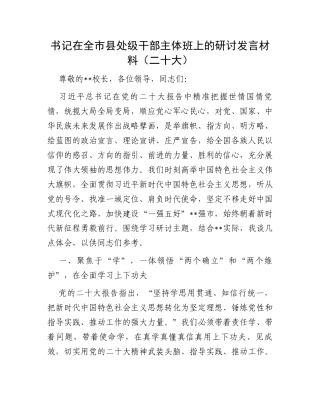 书记在全市县处级干部主体班上的研讨发言材料（二十大）