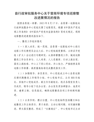 县行政审批服务中心关于营商环境专项巡察整改进展情况的报告