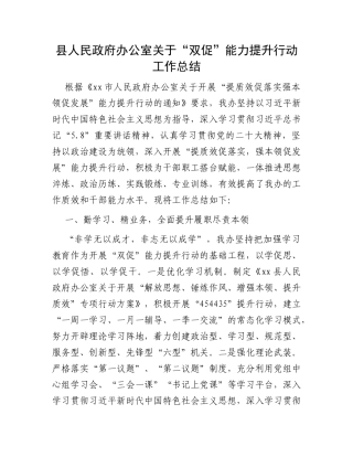 县人民政府办公室关于“双促”能力提升行动工作总结