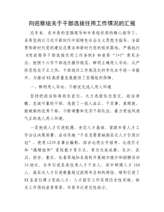 向巡察组关于干部选拔任用工作情况的汇报