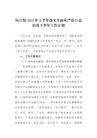 局党组XX年上半年落实全面从严治党总结及下半年工作计划