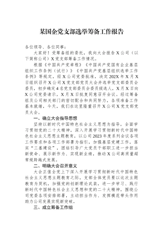 某国企党支部选举筹备工作报告