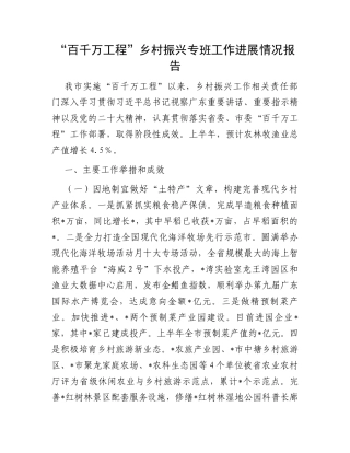 “百千万工程”乡村振兴专班工作进展情况报告