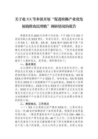 关于赴XX等乡镇开展“促进槟榔产业化发展助推农民增收”调研情况的报告