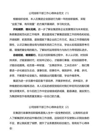 2篇公司挂职干部工作心得体会