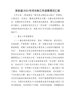 某街道2023年河长制工作进展情况汇报