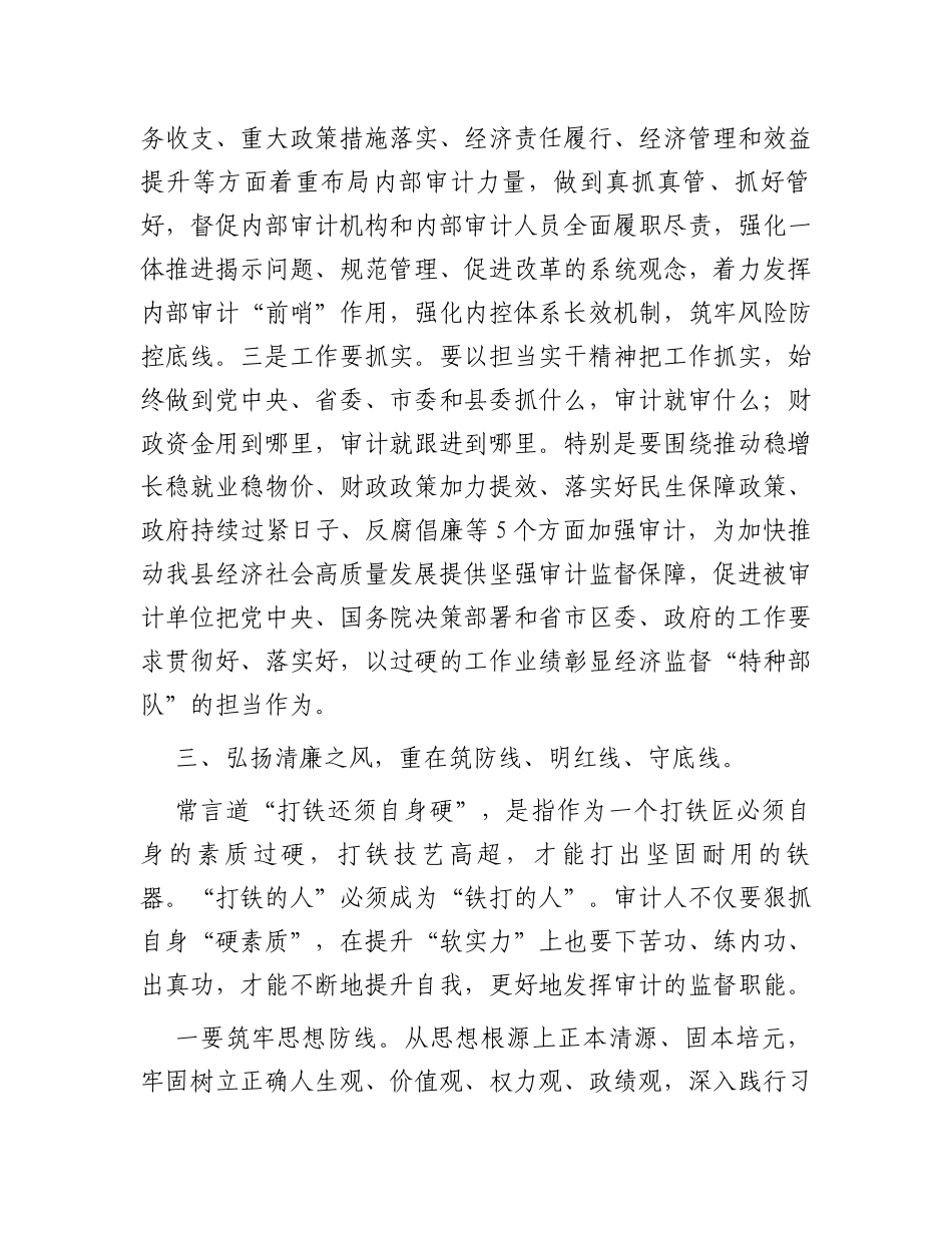某区审计局长“以学正风”和“树立和践行正确政绩观”专题研讨发言_第3页