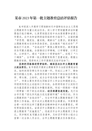 某市2023年第一批主题教育总结评估报告