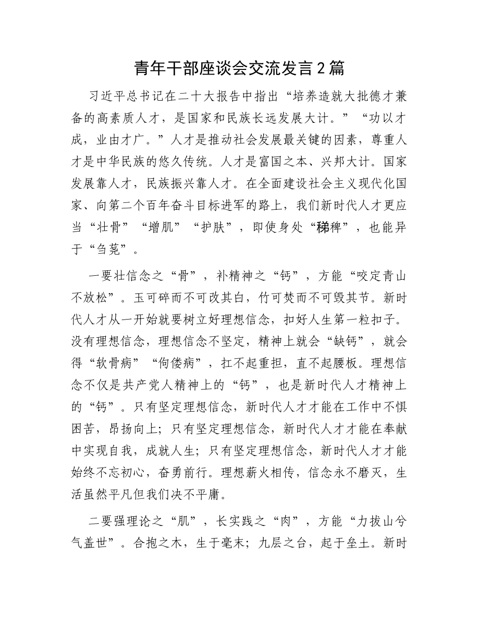 青年干部座谈会交流发言2篇_第1页