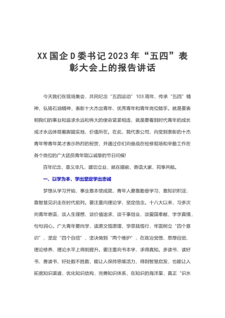 XX国企党委书记2023年“五四”表彰大会报告讲话