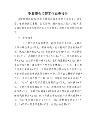 财政资金监管工作自查报告