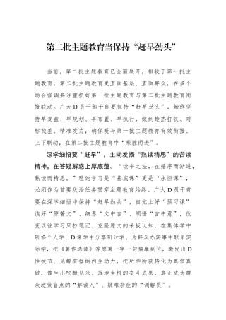 第二批主题教育当保持“赶早劲头”