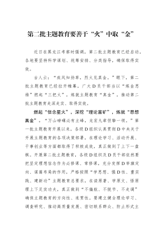 第二批主题教育要善于“火”中取“金”