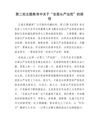 第二批主题教育中关于“全面从严治党”的感悟
