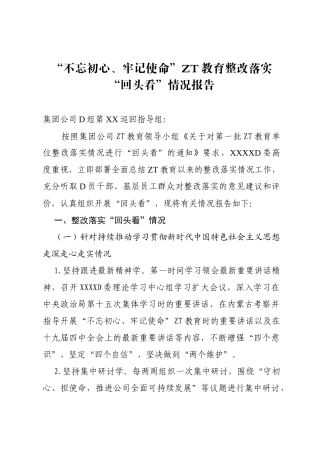 第一批主题教育整改落实回头看情况报告