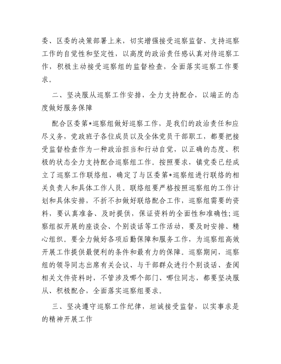 在2023年镇巡察工作动员会上的表态发言_第2页