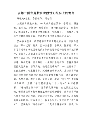 在第二批主题教育阶段性汇报会上的发言