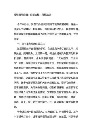 挂职锻炼感悟心得：夯基立柱，行稳致远