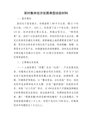 某村集体经济发展典型经验材料