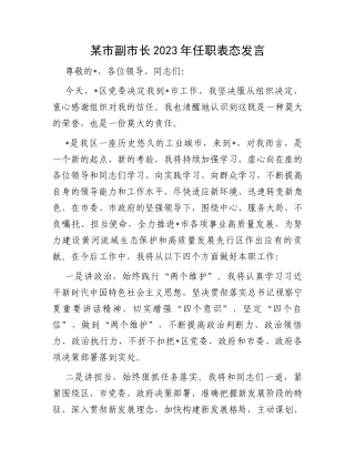 某市副市长2023年任职表态发言