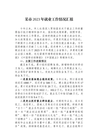 某市2023年就业工作情况汇报