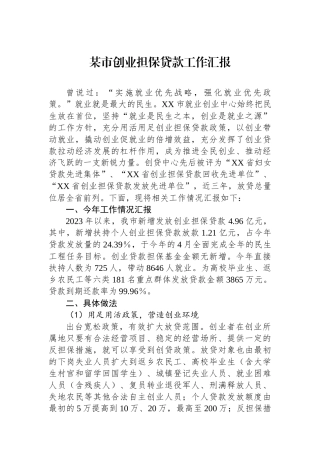 某市创业担保贷款工作汇报