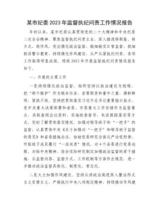 某市纪委2023年监督执纪问责工作情况报告