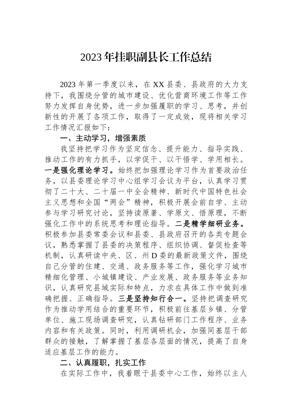 2023年挂职副县长工作总结_第1页