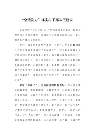 “全链发力”抓实村干部队伍建设