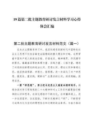 【19篇】第二批主题教育研讨发言材料学习心得体会合集汇编