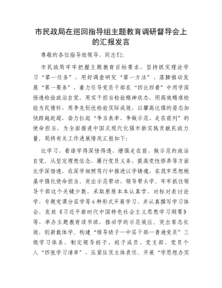 市民政局在巡回指导组主题教育调研督导会上的汇报发言