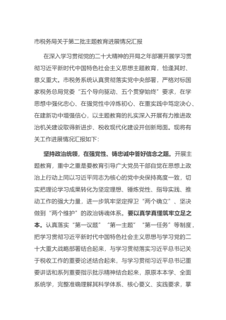 市税务局关于第二批主题教育进展情况汇报