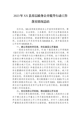2023年XX县基层政务公开提升行动工作落实情况总结